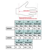 Charlotte Rush CCM 85C Custom Gloves Youth