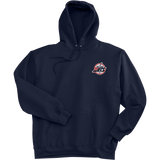 Metro Jets Ultimate Cotton - Pullover Hooded Sweatshirt